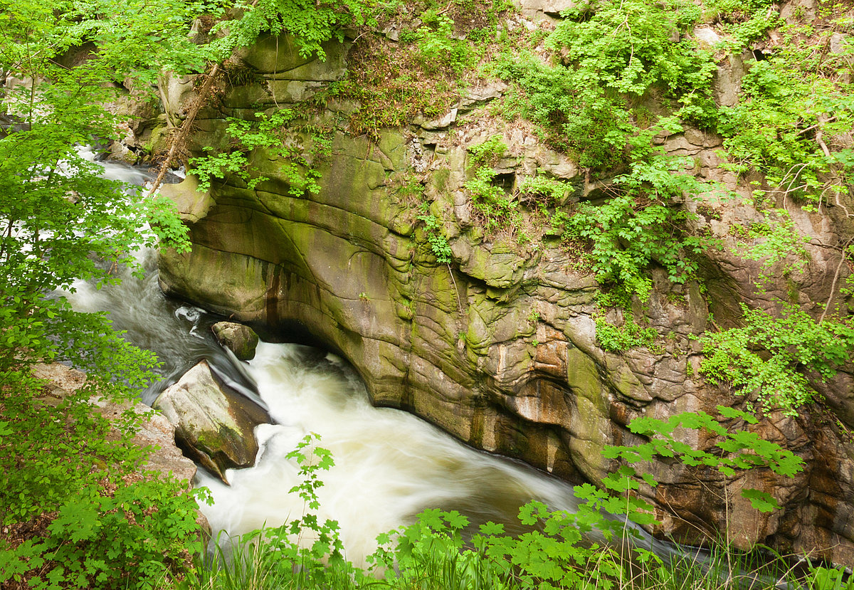 Seilbahnen Thale GmbH Besuch planen